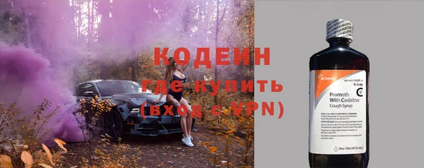 не бодяженный Горно-Алтайск