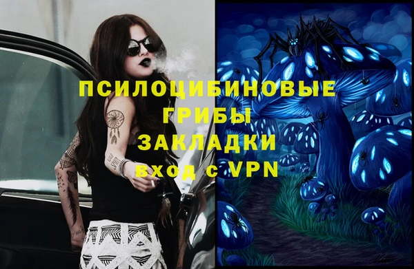 твердый Горнозаводск