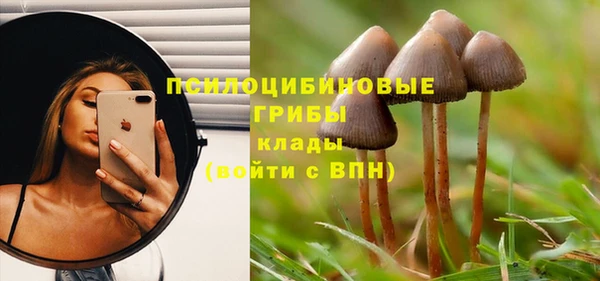 не бодяженный Горно-Алтайск