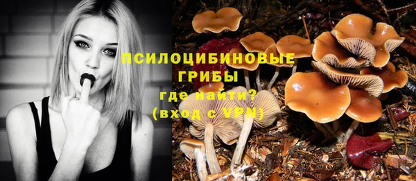 дмт Горняк