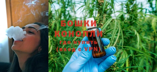 дмт Горняк