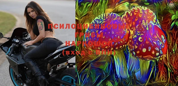 дмт Горняк