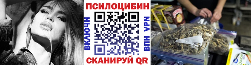 Псилоцибиновые грибы Cubensis Солнечногорск