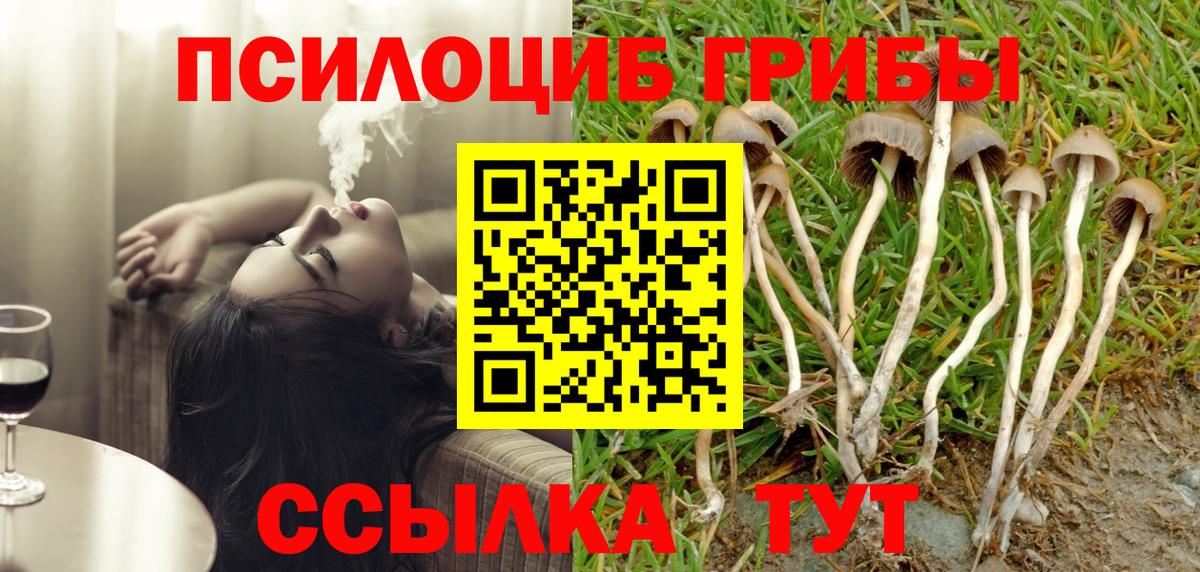 Солнечногорск  Галлюциногенные грибы Cubensis  Вход с VPN 