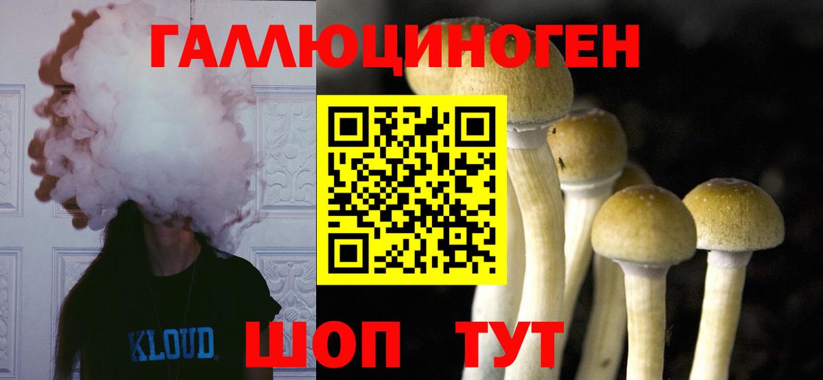 Псилоцибиновые грибы Cubensis Солнечногорск